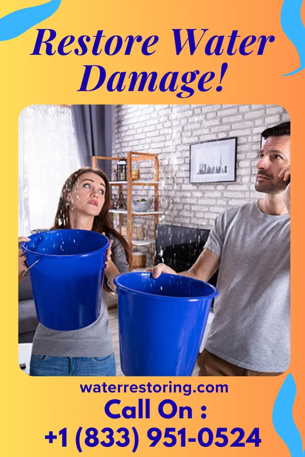 water restoration Victory Water Removal Authority Stevensville